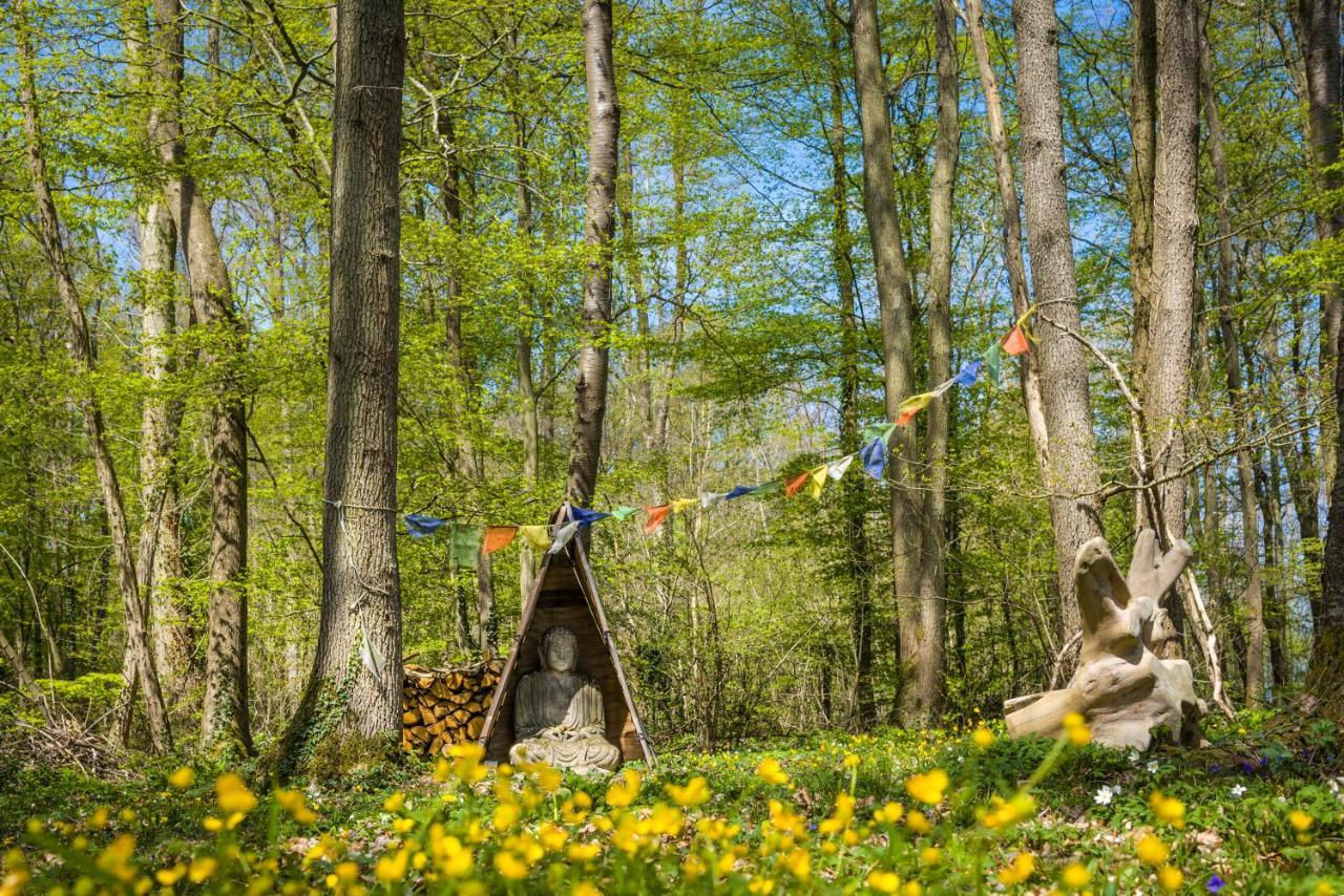 Gites Du Bois Des Perruches Saint-Vincent-des-Bois エクステリア 写真