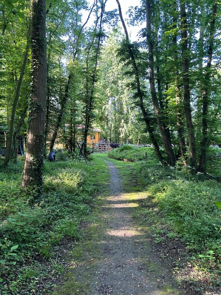 Gites Du Bois Des Perruches Saint-Vincent-des-Bois エクステリア 写真